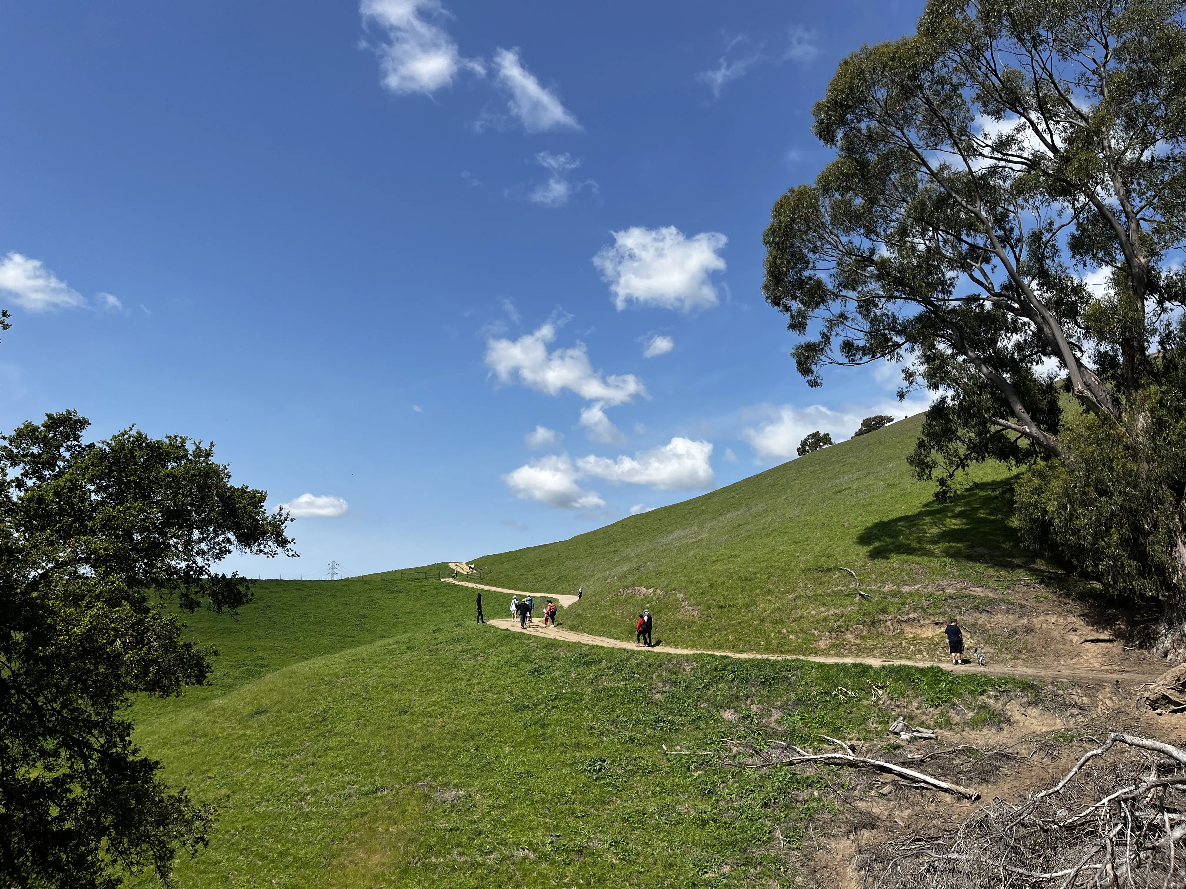 Rancho San Antonio