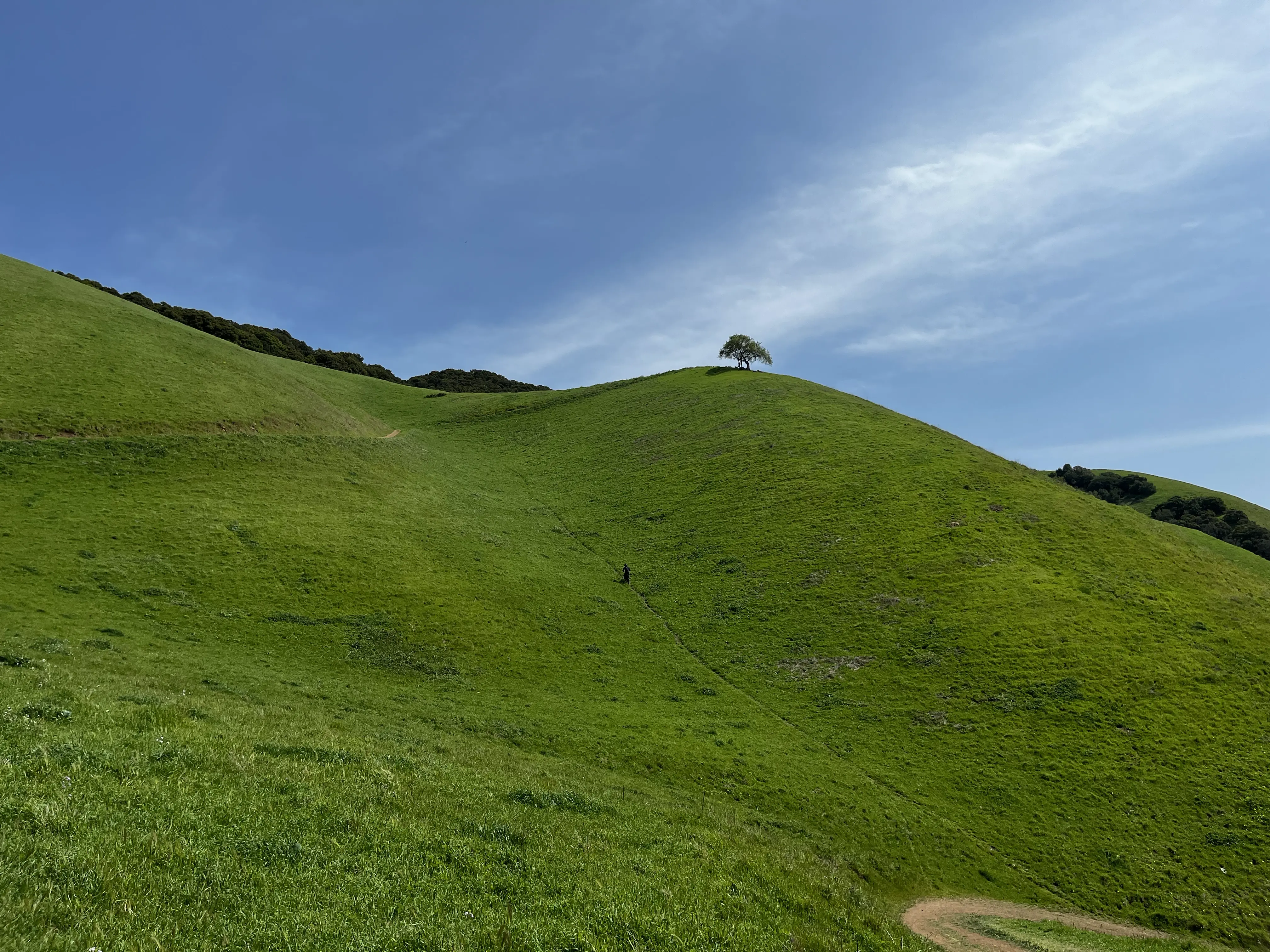 Rancho San Antonio