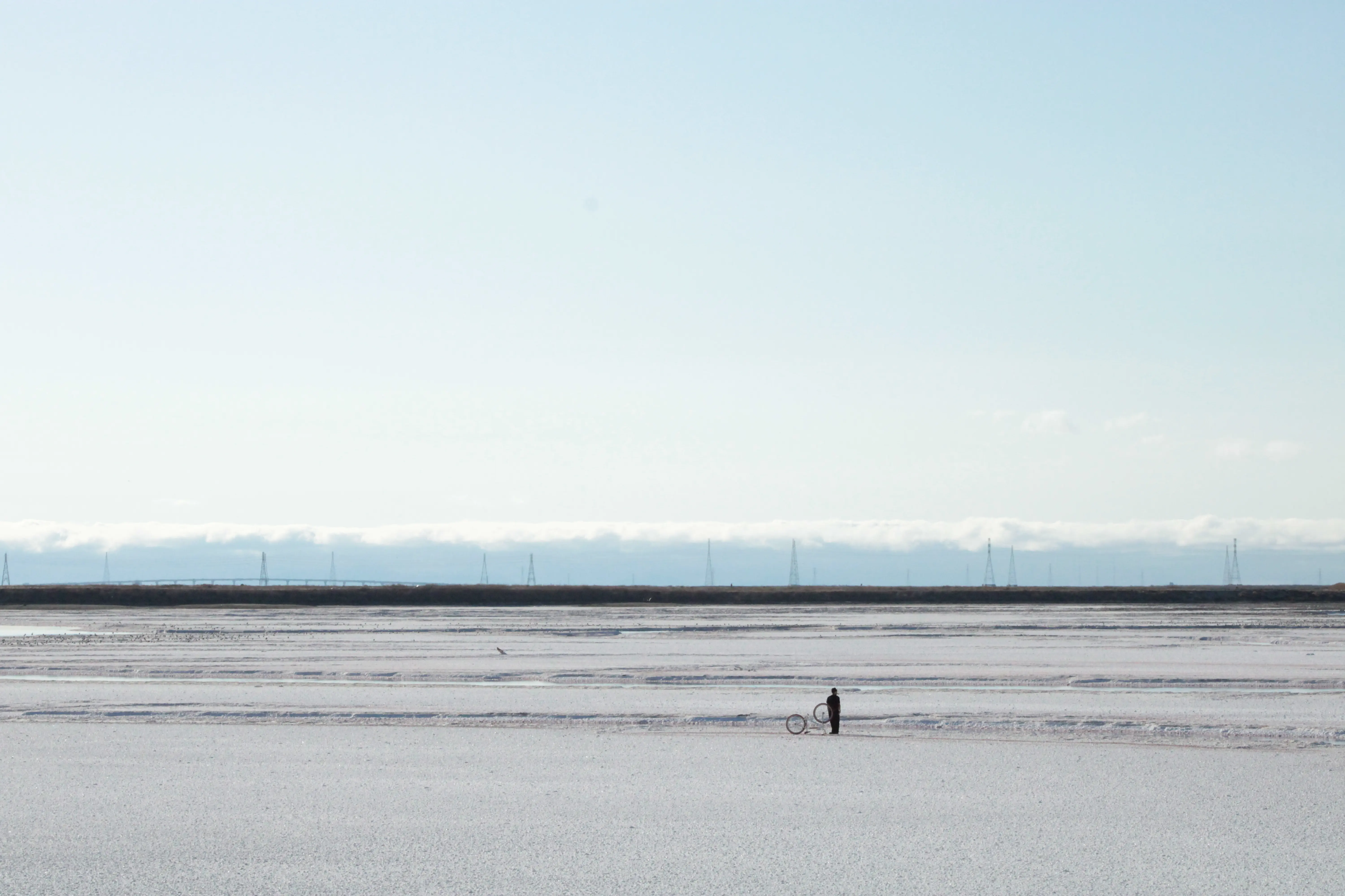 Alviso Marina County Park