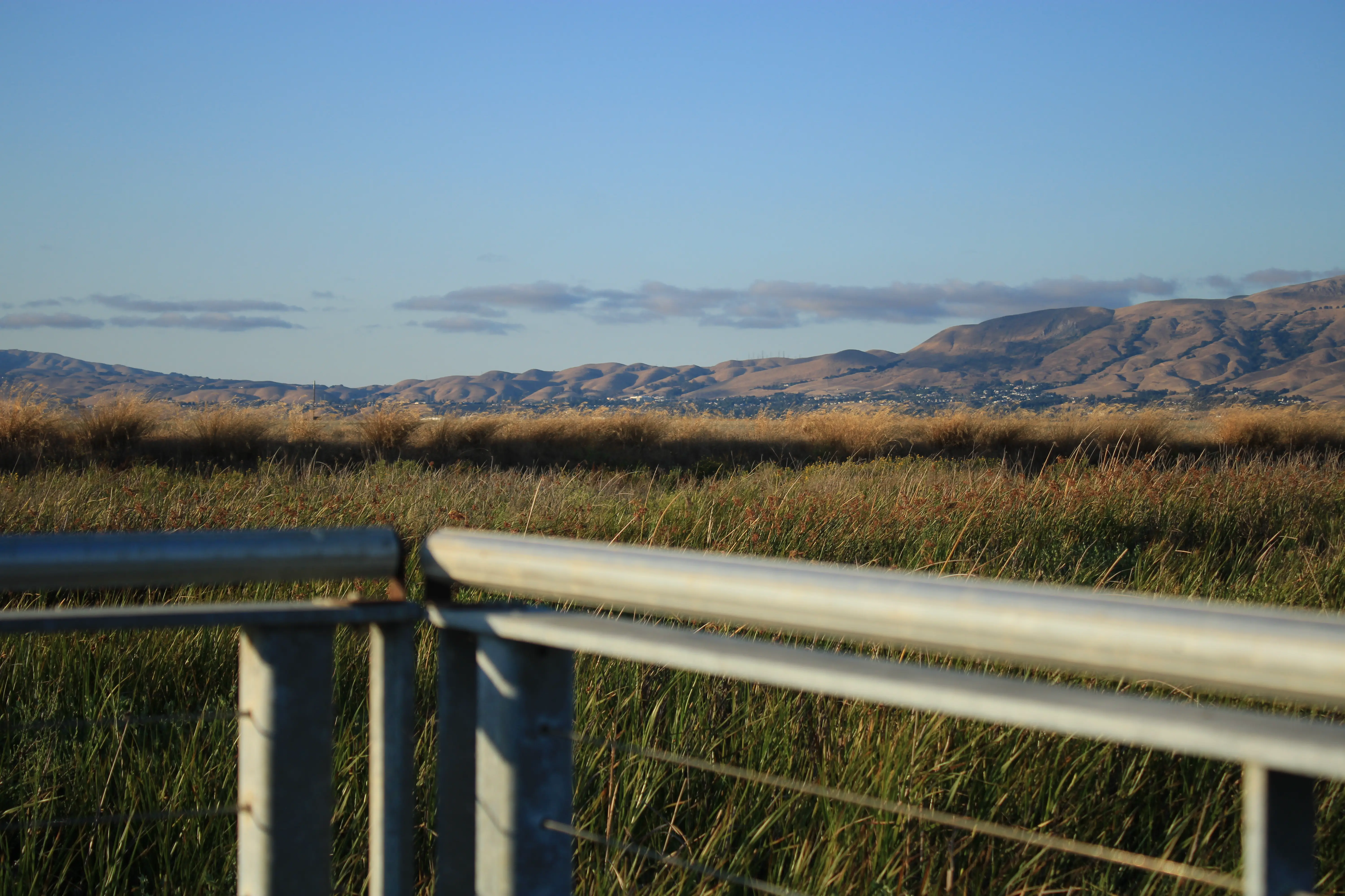 Alviso Marina County Park