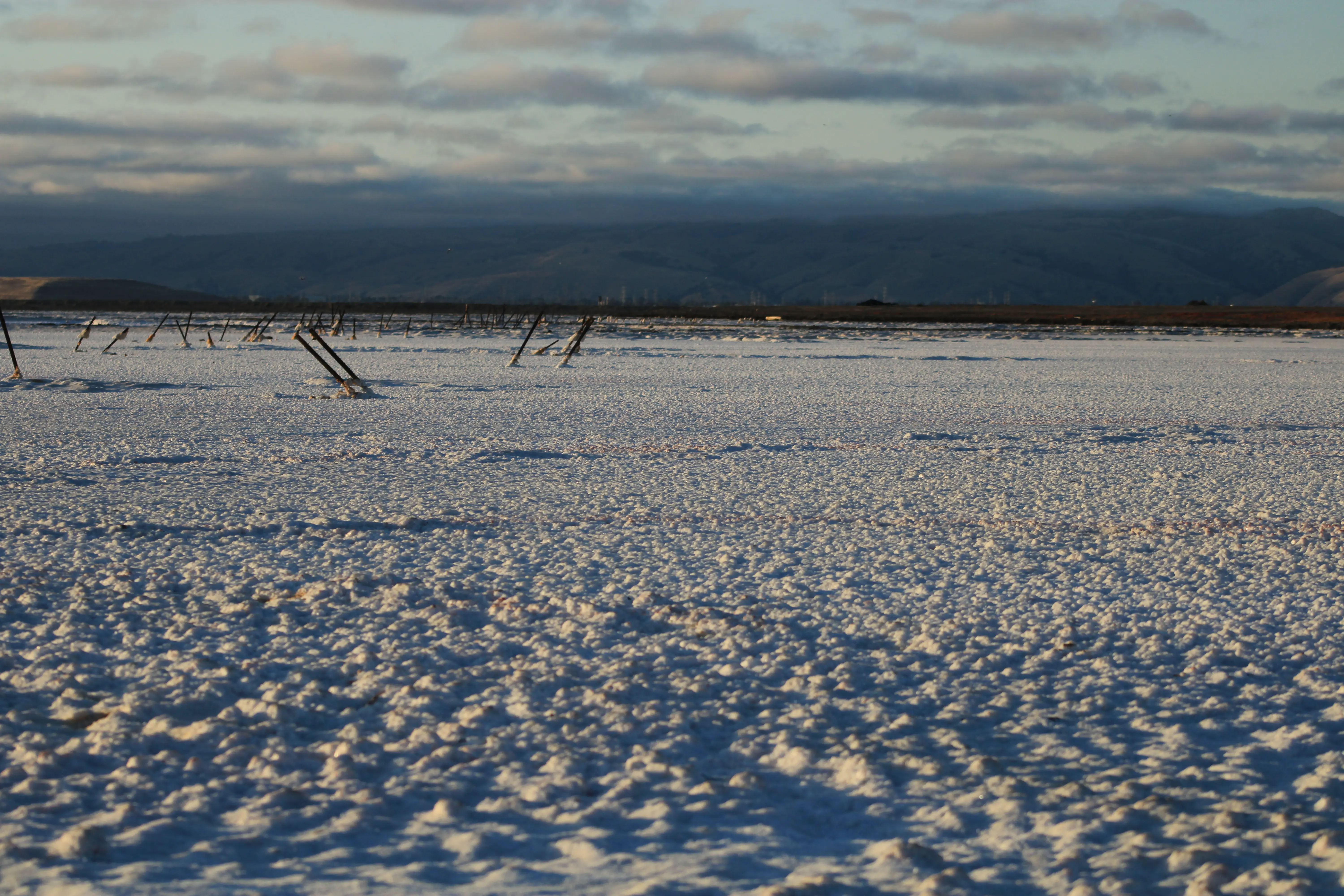 Alviso Marina County Park
