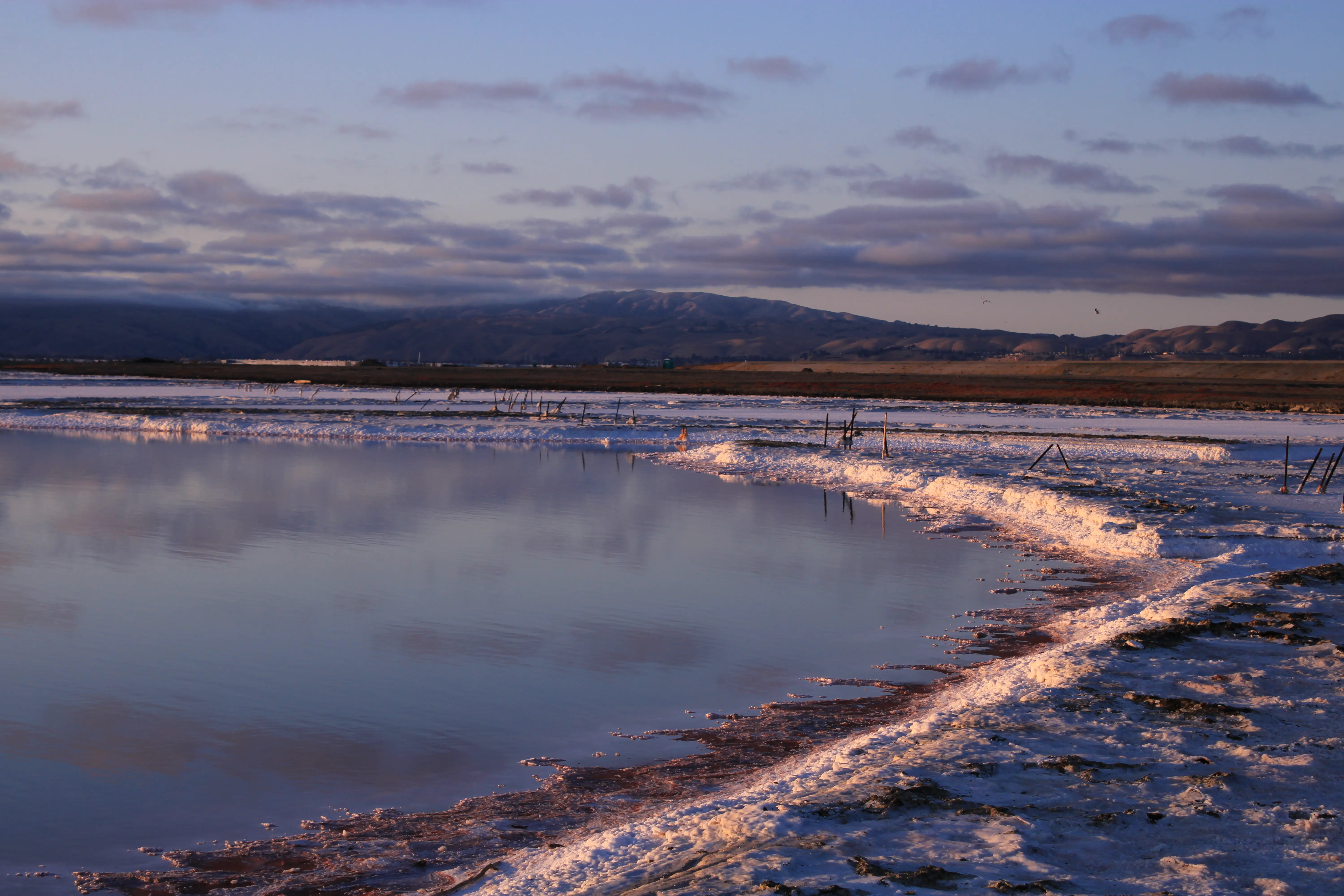 Alviso Marina County Park