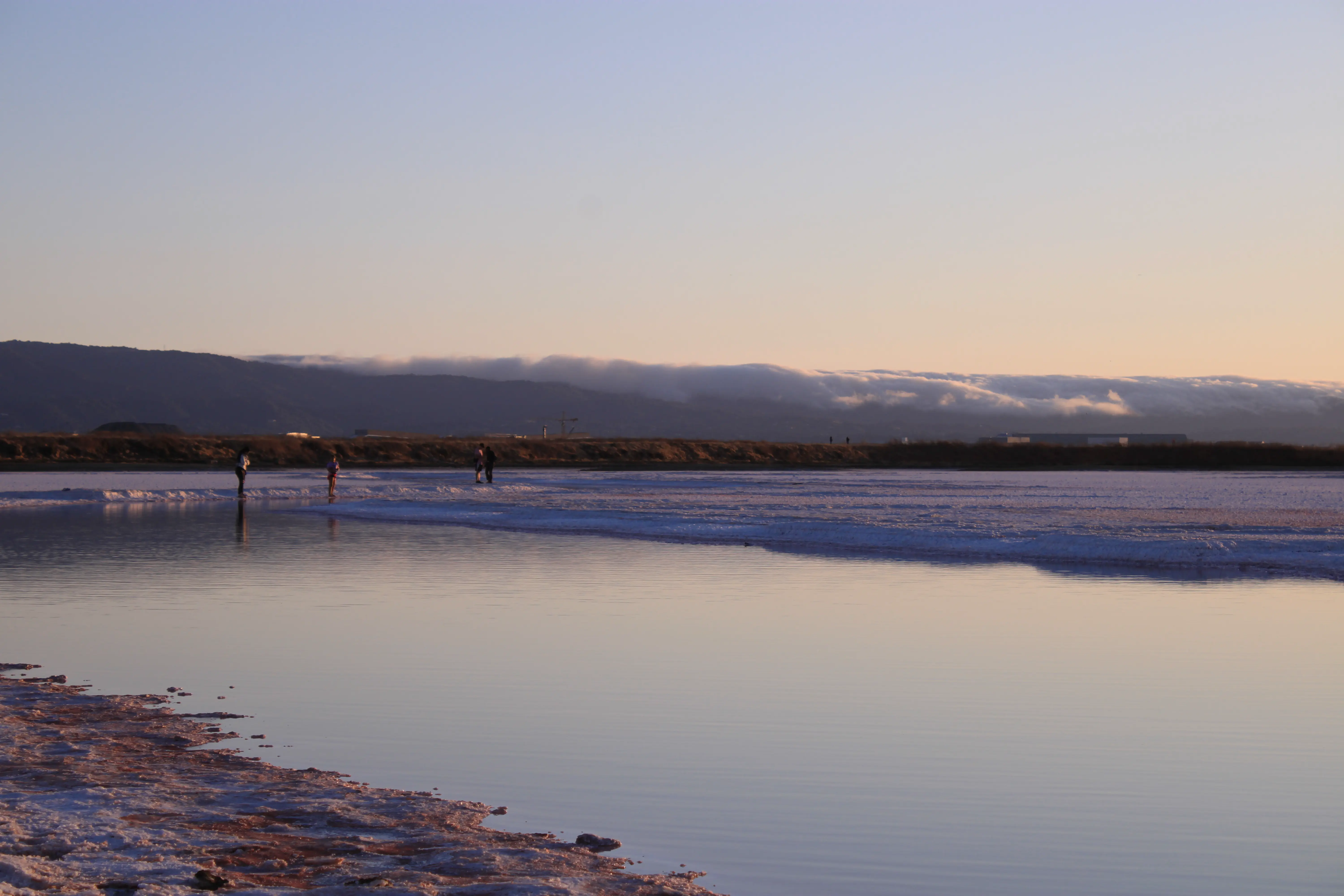 Alviso Marina County Park
