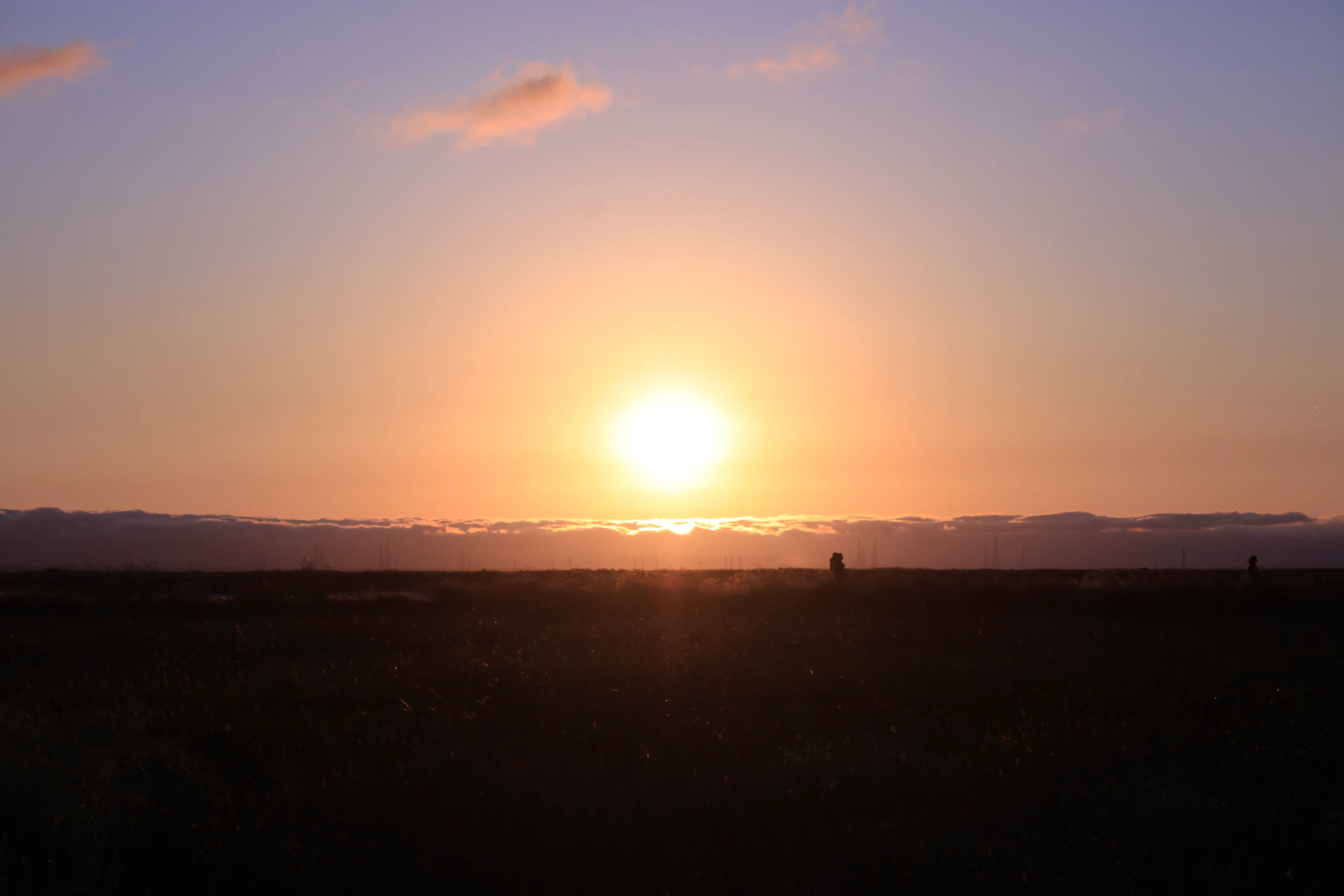 Alviso Marina County Park