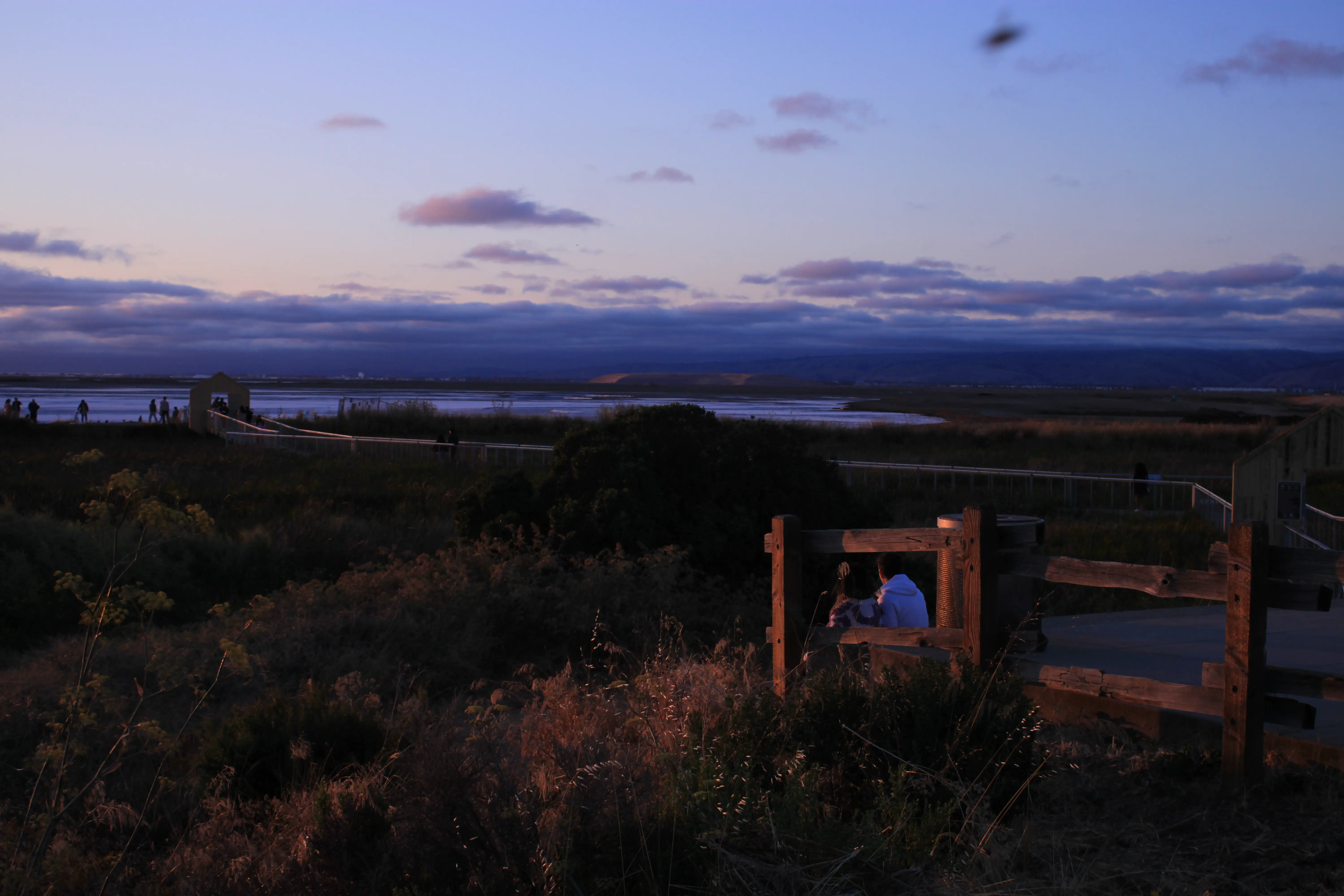 Alviso Marina County Park