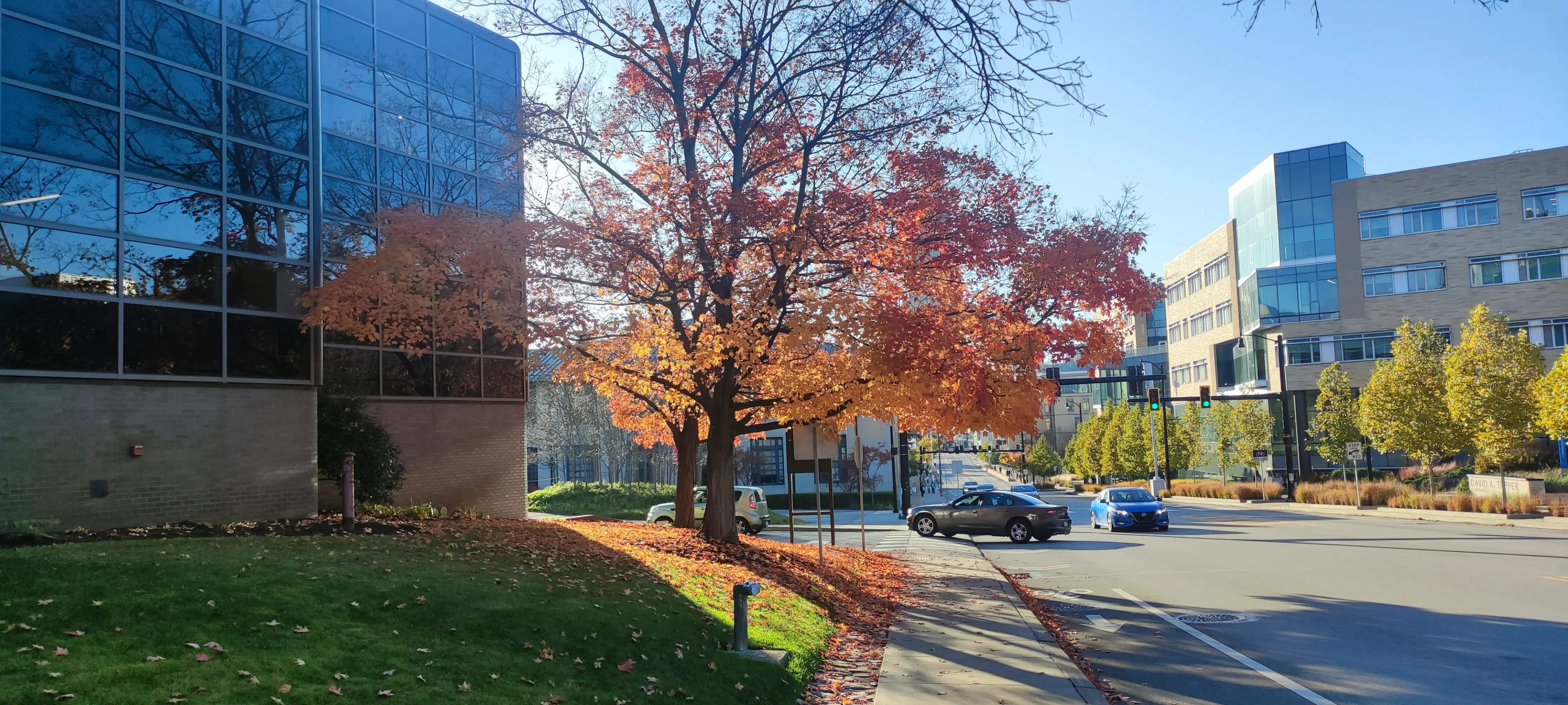 Pittsburgh scenery